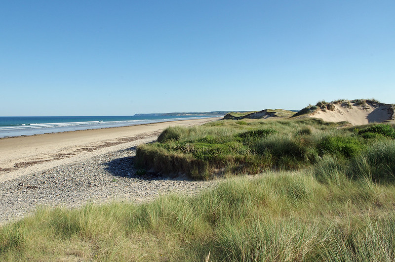 Cordon dunaire de Baubigny © Daniel Jolivet