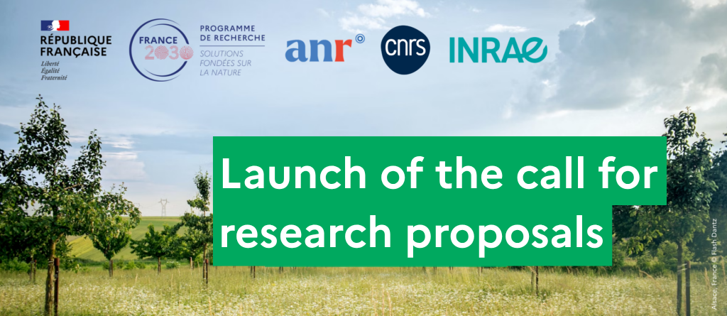  Launch of the call for research proposals 