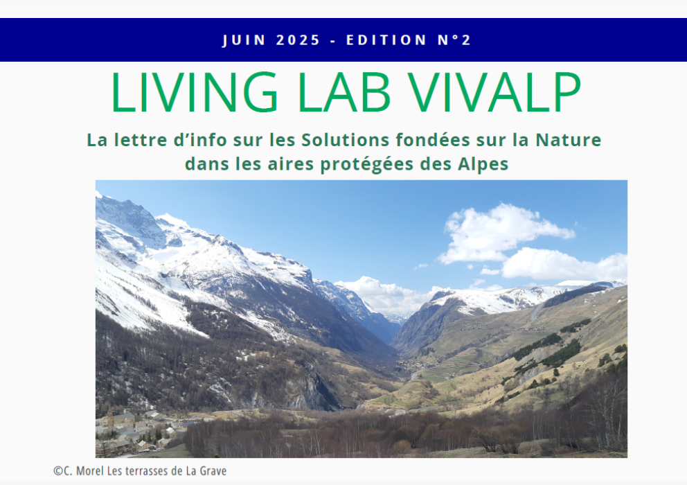 Newsletter Living lab VIVALP – édition n°2 | Juin 2025