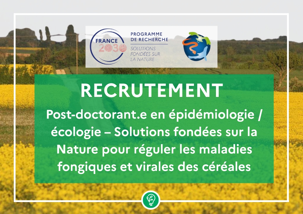  Recrutement d’un.e post-doctorant.e en épidémiologie/écologie – Solutions fondées sur la Nature pour réguler les maladies fongiques et virales des céréales 