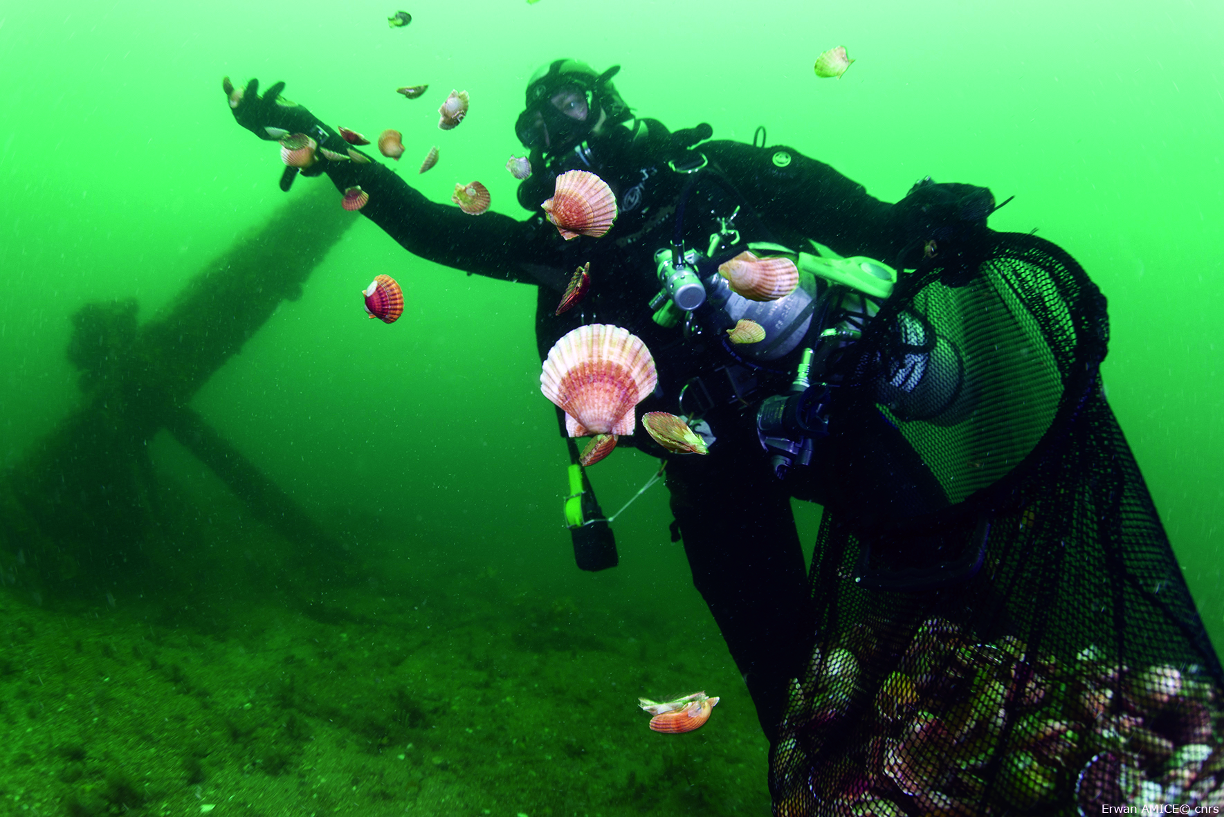  Recrutement – stage de 6 mois pour élaborer un visualiseur dédié aux Solutions fondées sur la Nature (SfN) dans le périmètre du Living Lab Ponant 