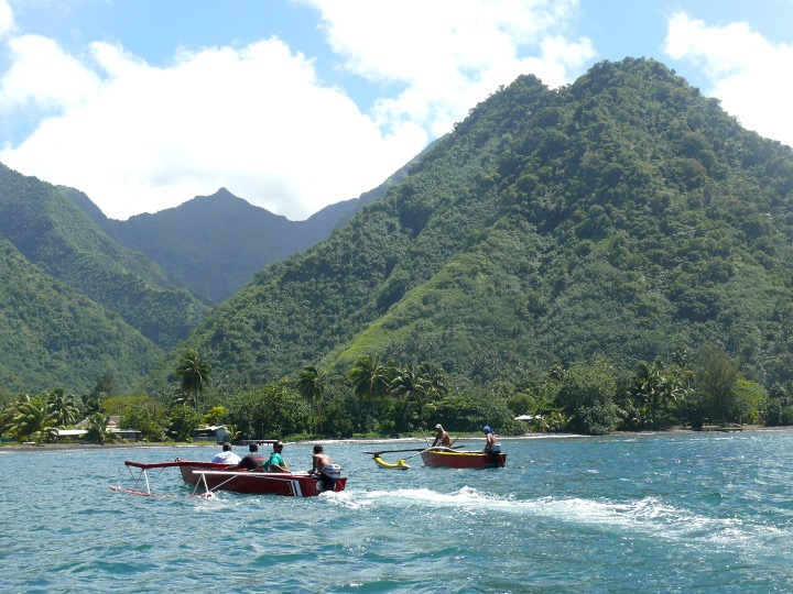  Recrutement d’un.e stagiaire pour la mission Cartographie des zones humides littorales de Tahiti et de Moorea 