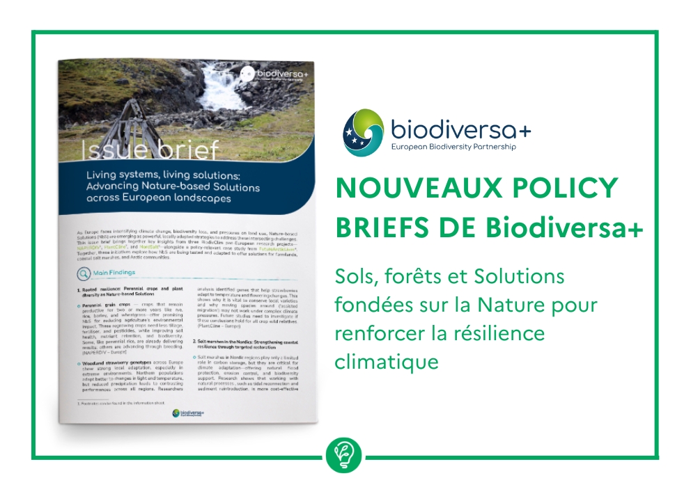  Nouveaux Policy Briefs de Biodiversa+ : sols, forêts et solutions fondées sur la nature pour renforcer la résilience climatique 
