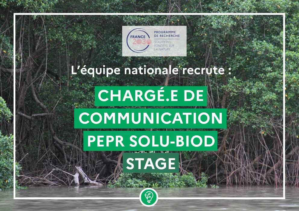  L’équipe nationale recrute ! Chargé.e de communication du programme PEPR SOLU-BIOD (stage) 