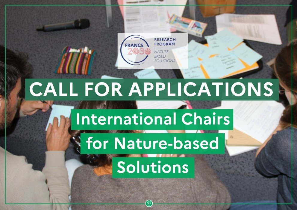  L’appel à candidatures pour les chaires internationales en SfN est désormais ouvert ! 