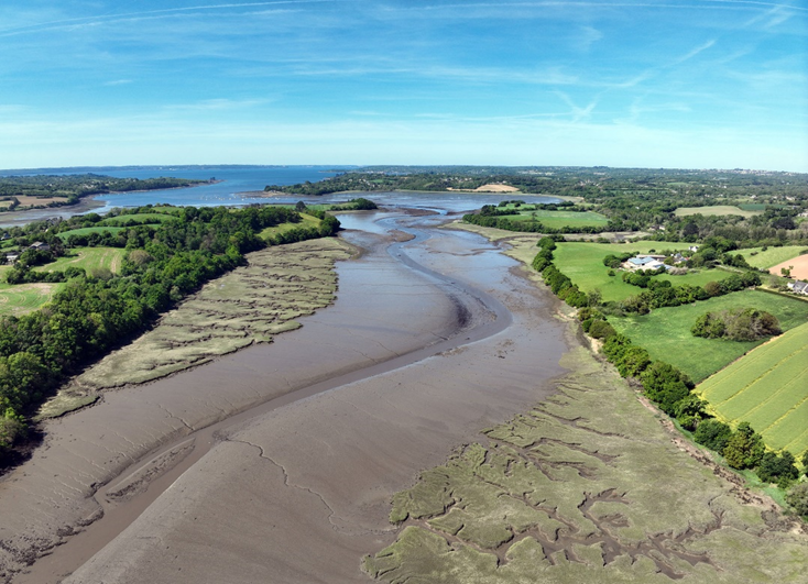  Recrutement d&rsquo;un·e stagiaire – Evaluation des mesures de gestion de la Spartine alterniflore en rade de Brest 