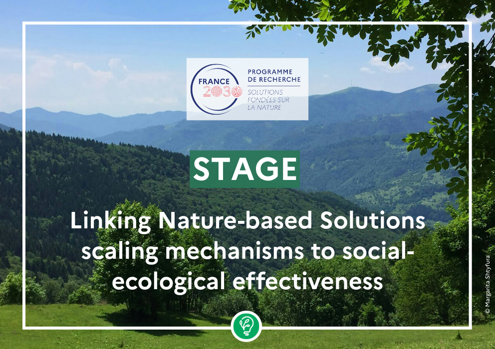 visuel stage knowledge hub archétypes