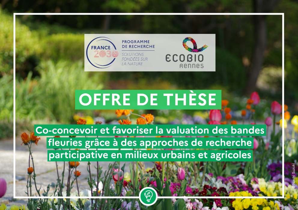  Candidatez à l&rsquo;offre de thèse : Co-concevoir et favoriser la valuation des bandes fleuries (BF) grâce à des approches de recherche participative (RP) en milieux urbains et agricoles 