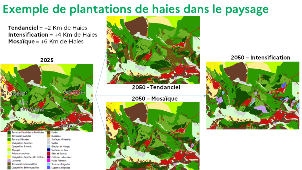 Restitution Scenarios VivAlp 23-10-26 V4 - Courte