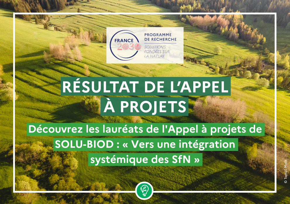  Découvrez les lauréats de l&rsquo;Appel à projets de SOLU-BIOD : « Vers une intégration systémique des SfN » 