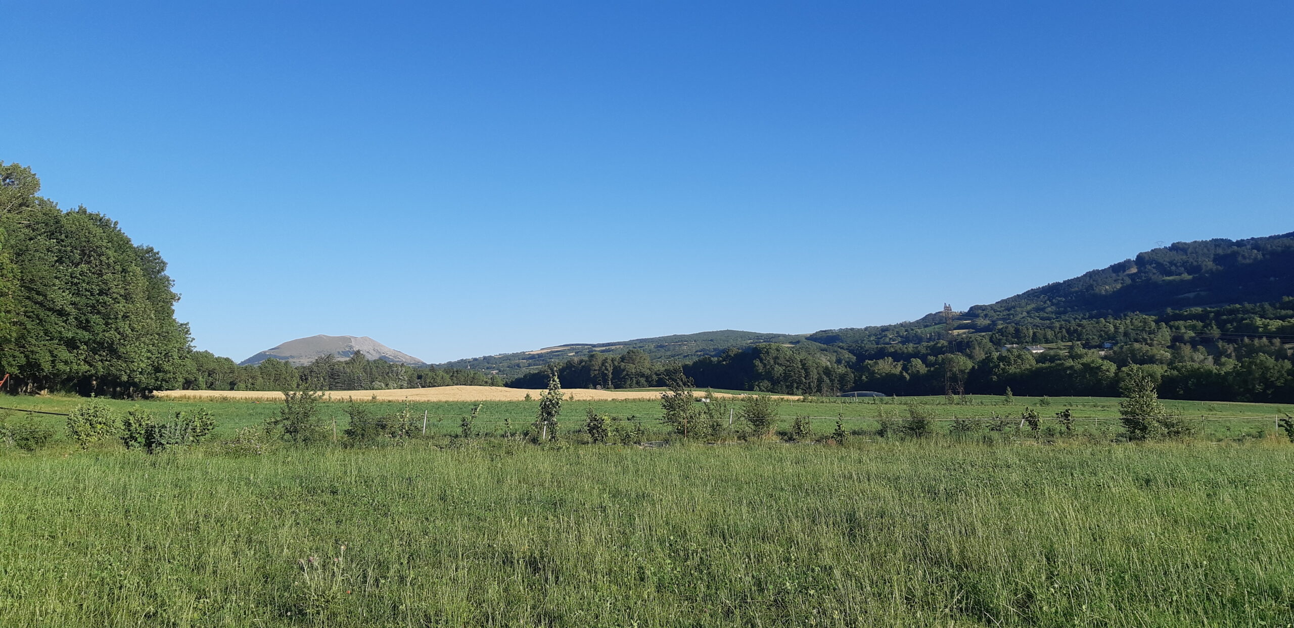  Demandez la dernière lettre d&rsquo;infos sur les Solutions fondées sur la Nature dans les aires protégées alpines ! 