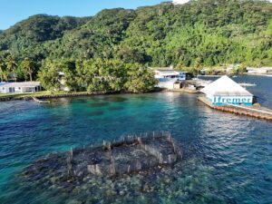 Image drone des cages expérimentales des oursins dans le lagon de Vairao, Centre Ifremer du Pacifique