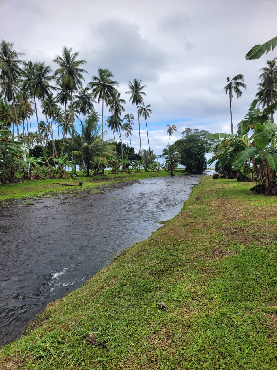 Photo de la berge de la Mo'aroa, Atiamono, Tahiti © Guillaume Marchand 